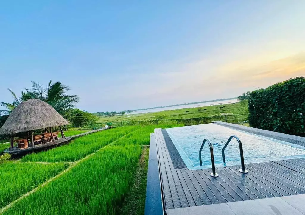 Blue Wild Yala